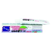 Fudo Kagaku Рэкурэн Зубная паста для защиты от кариеса и зубного камня отбеливающая с растительными экстрактами 80г 